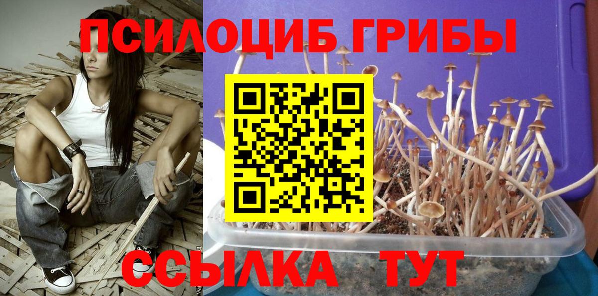 наркота  Вход с VPN  Галлюциногенные грибы прущие грибы  Березники  Галлюциногенные грибы ЛСД 